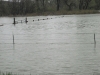 pryor-creek-flooding-195